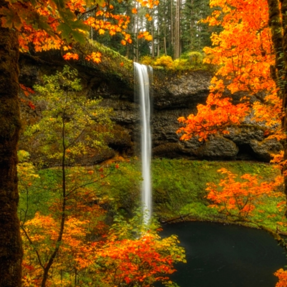 ⭐𝓟𝓸𝓼𝓱🕊𝓐𝓶𝓫𝓪𝓼𝓼𝓪𝓭𝓸𝓻 II⭐